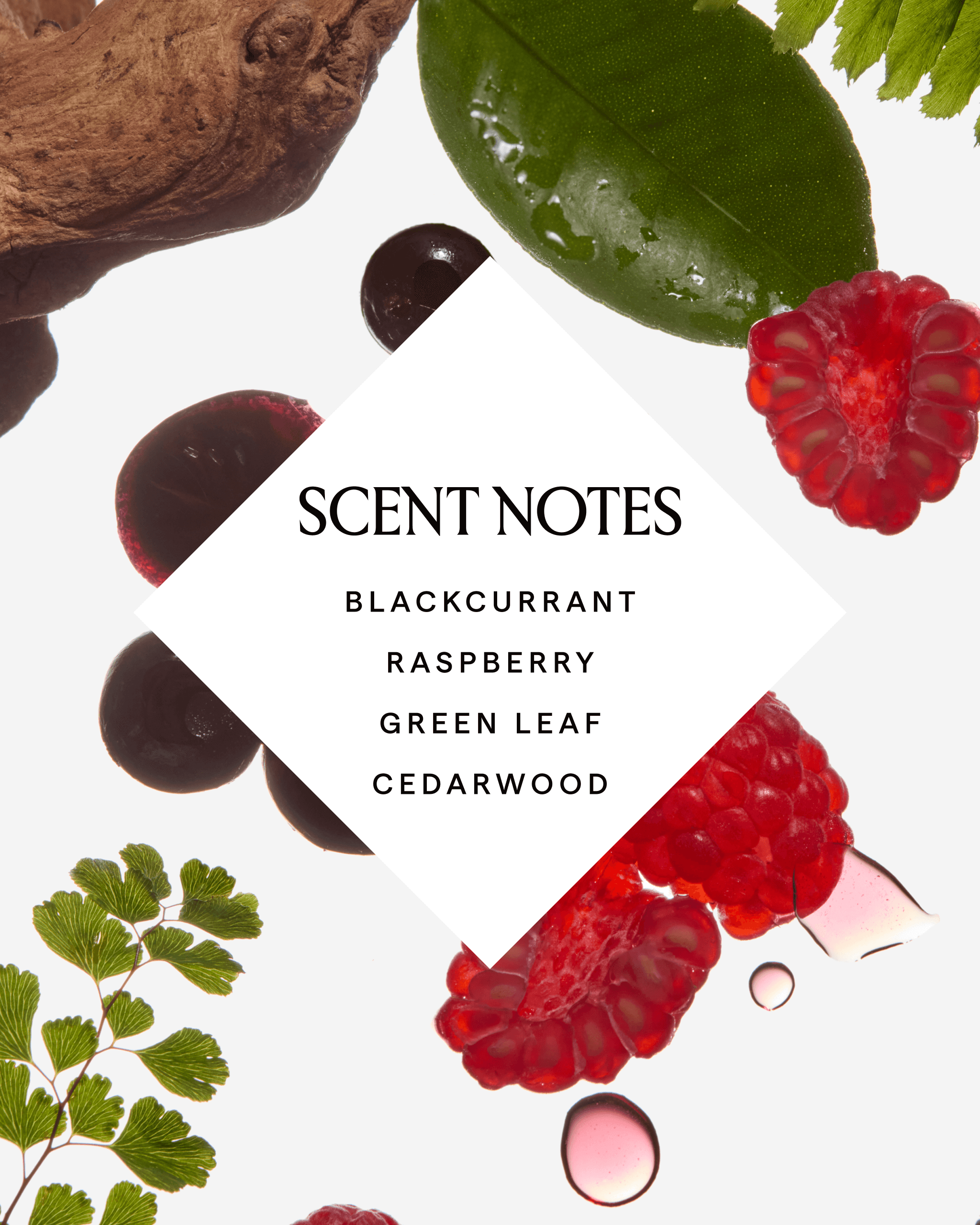 BAKUCHIOL Retinol Alternative Body Serum