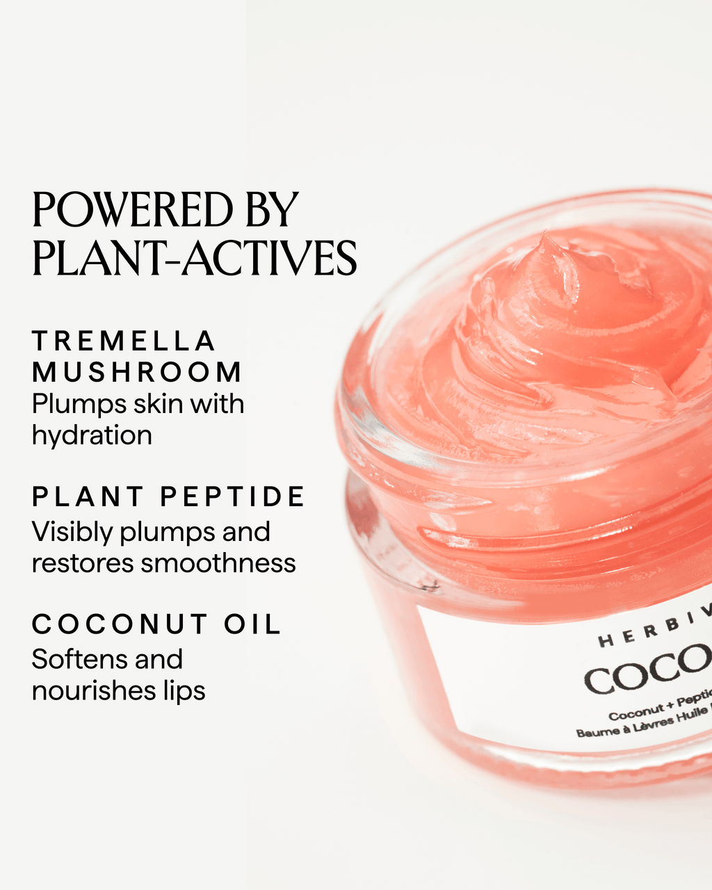 COCO ROSE Coconut + Peptide Lip Balm-to-Oil