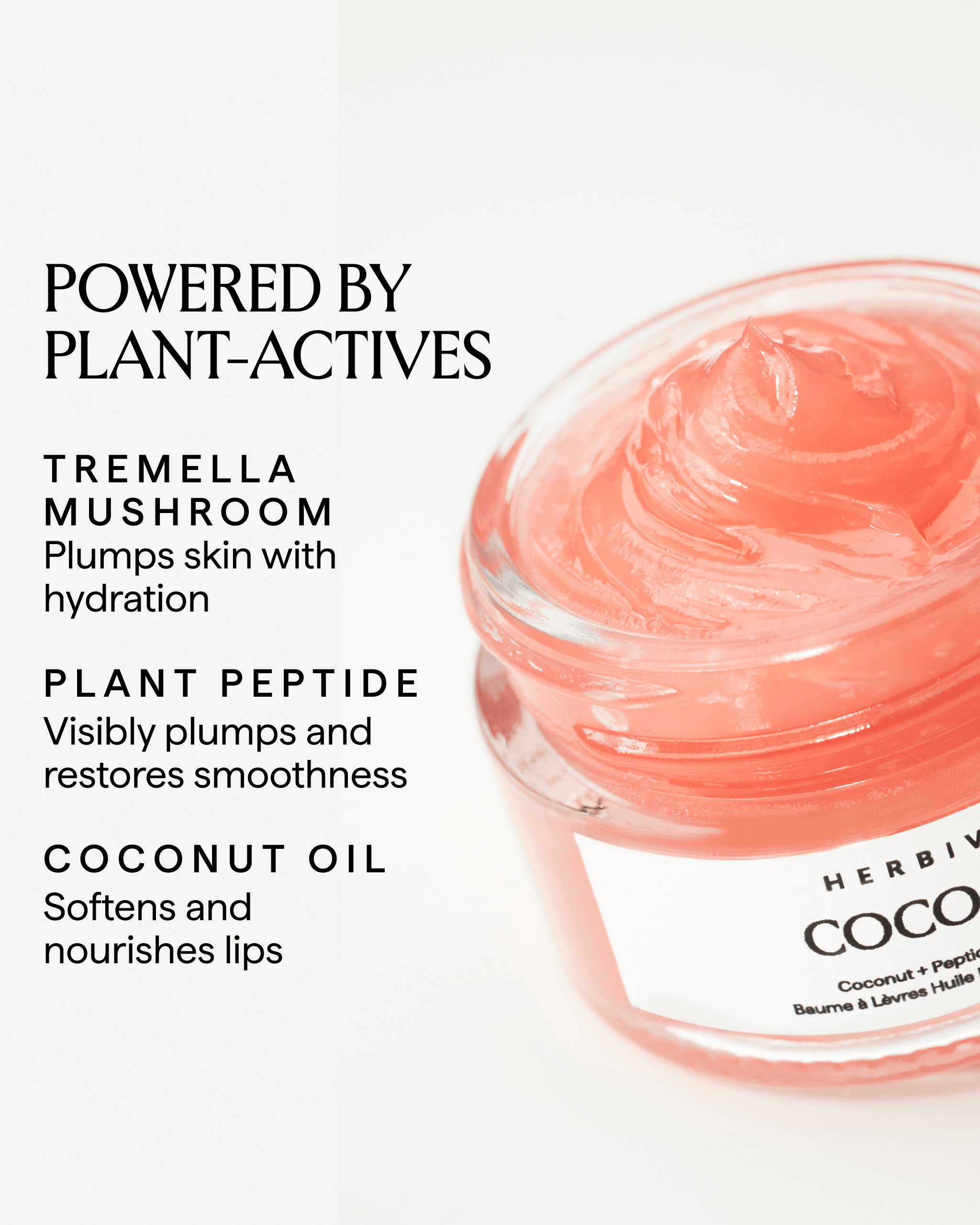 COCO ROSE Coconut + Peptide Lip Balm-to-Oil